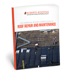 Builders Guide Ebook