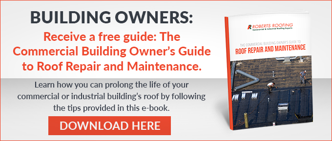 BuildingOwnersGuide-RoofRepair-Maint-CTA-horizontal-button-ID-110427